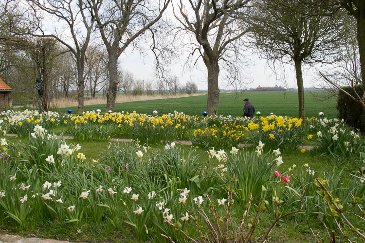 Frühlingsanfang